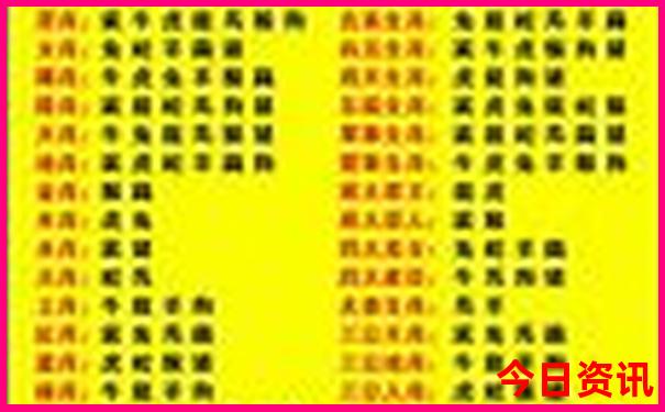 冬天适合去哪个城市旅游